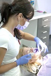 Dentální hygiena BRNO - obrázek 6